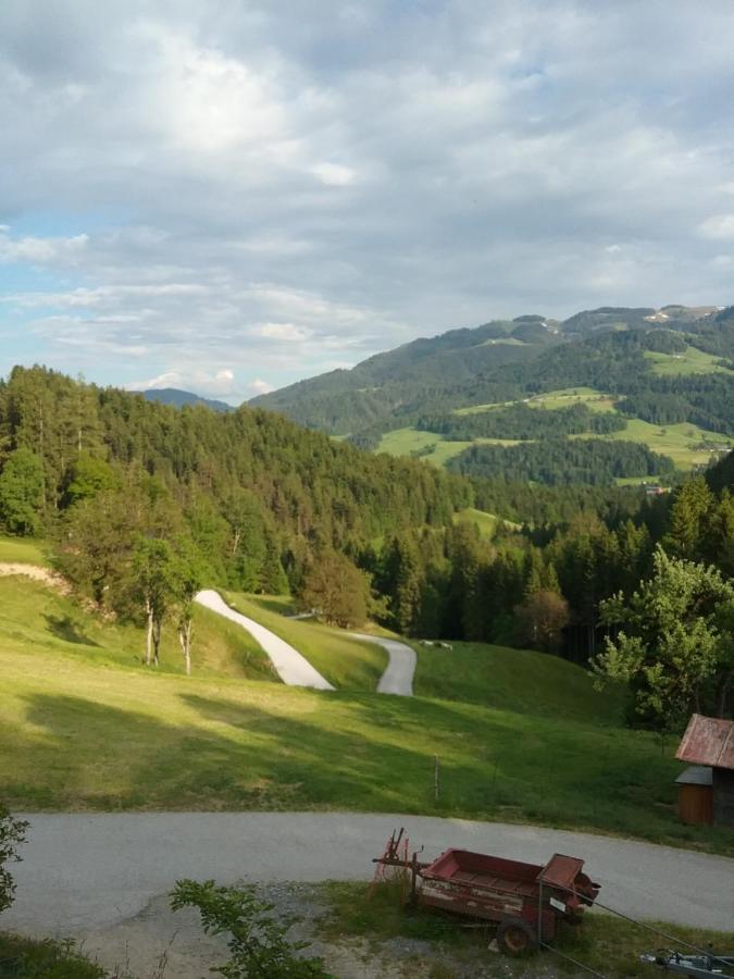 Апартаменты Bauernhof Vordergrub Шеффау-ам-Вильден-Кайзер Экстерьер фото